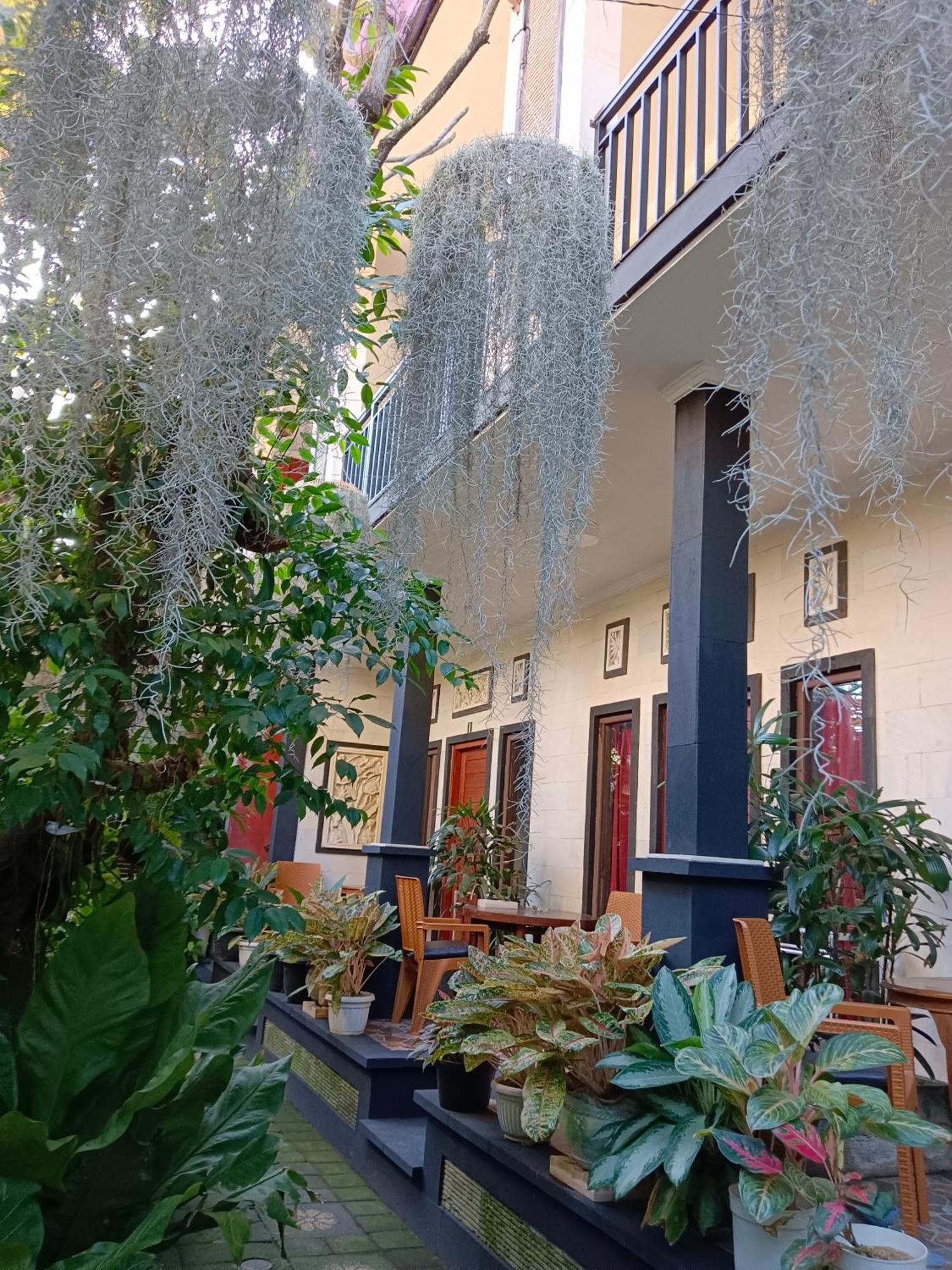 Wisma tamu Double N Bali Sanur (Bali)