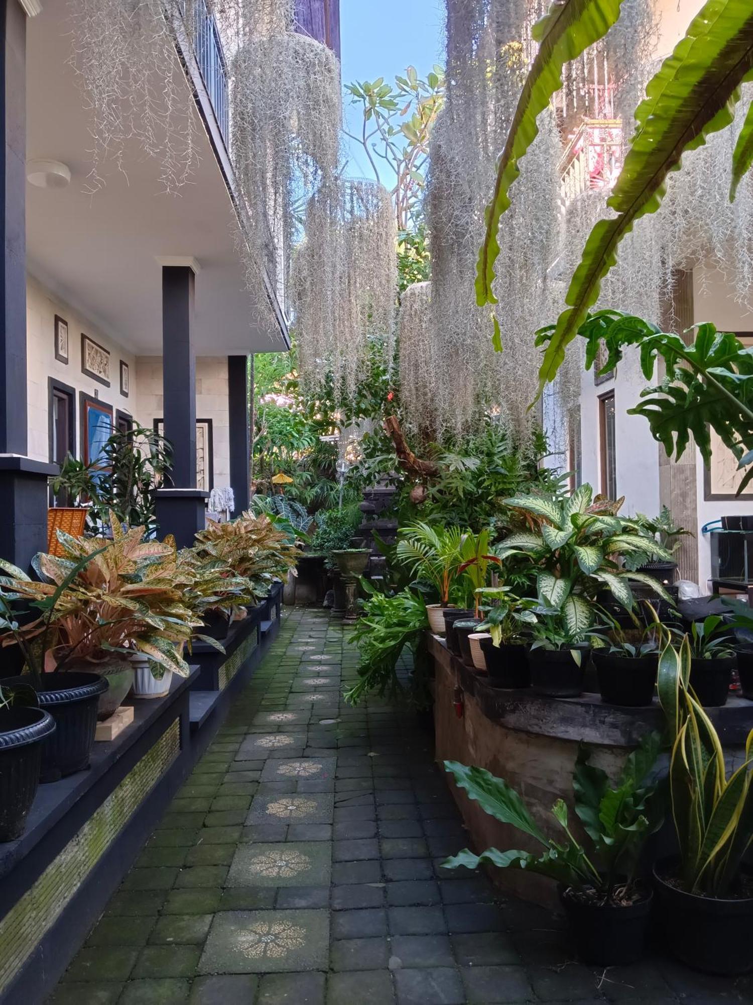 Wisma tamu Double N Bali Sanur (Bali)