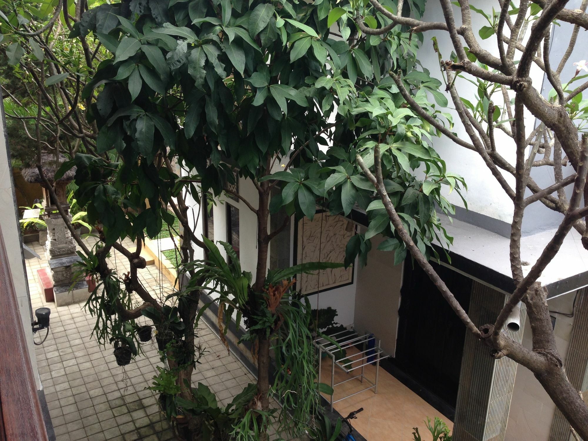 Wisma tamu Double N Bali